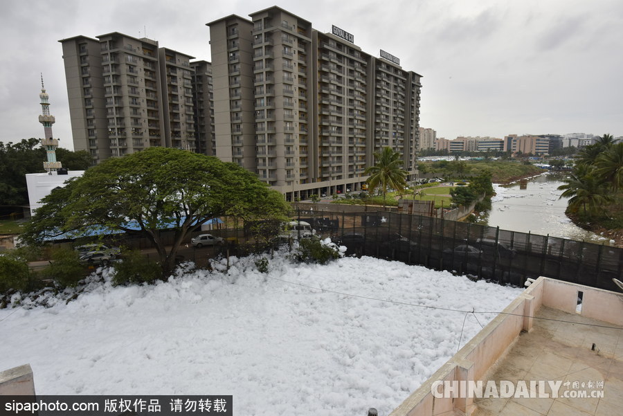 印度貝蘭杜爾湖污染嚴(yán)重 產(chǎn)生大量泡沫充斥街頭