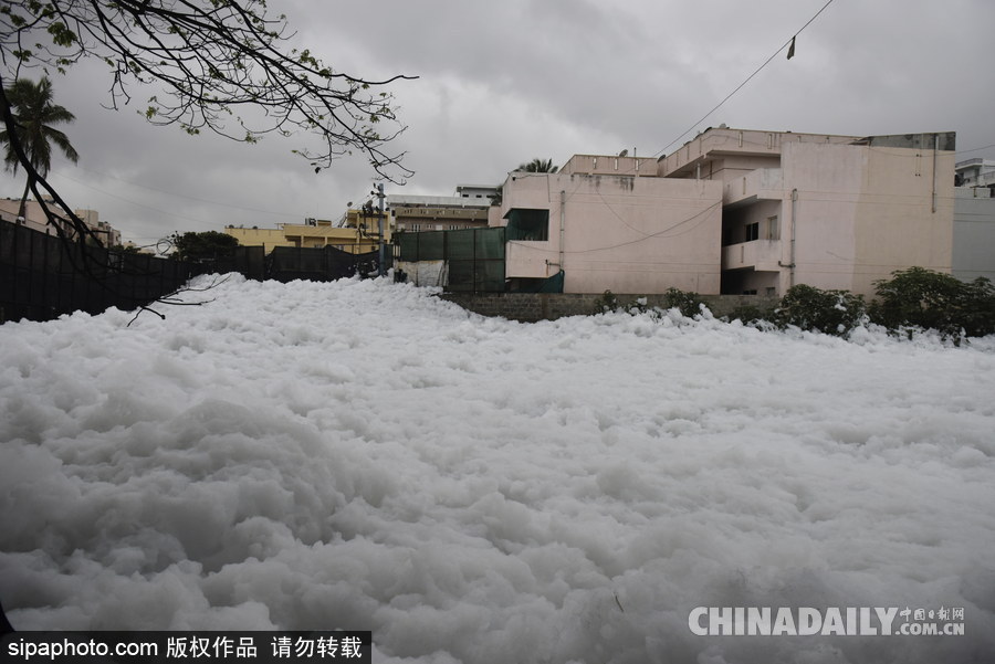 印度貝蘭杜爾湖污染嚴重 產(chǎn)生大量泡沫充斥街頭