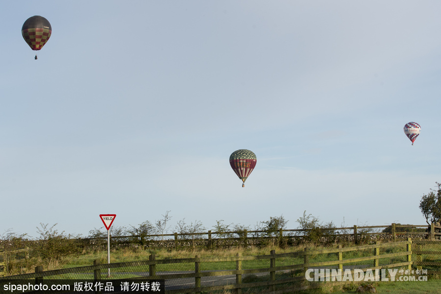 愛爾蘭舉行熱氣球錦標(biāo)賽 色彩點綴天空場景浪漫