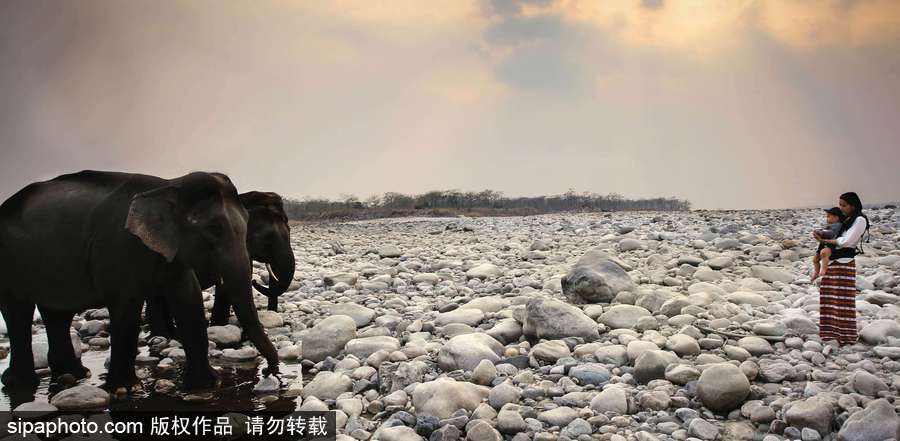 小長(zhǎng)假不再看人山人海 全球旅游這些國(guó)家和地區(qū)游客最少