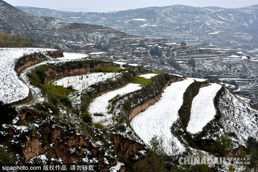 甘肅迎來雨雪天氣 雪落梯田景致宛如水墨畫