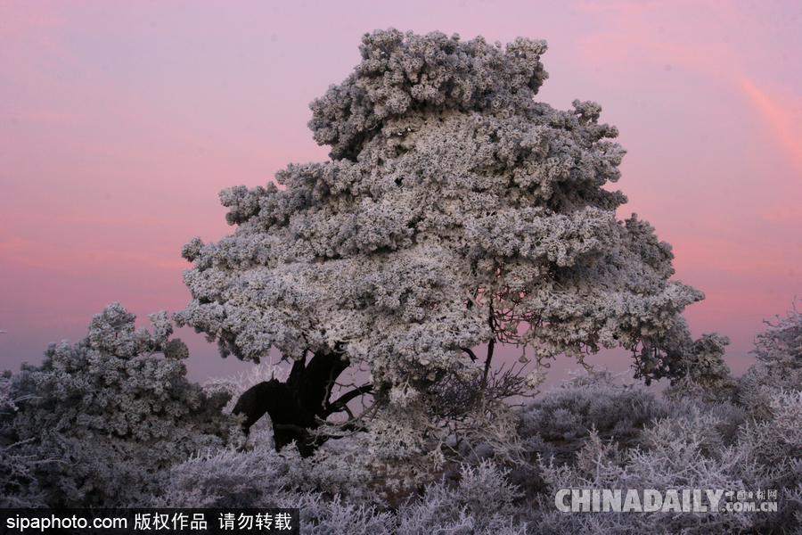 降溫雪韻至 盤(pán)點(diǎn)最平凡的冬日美景