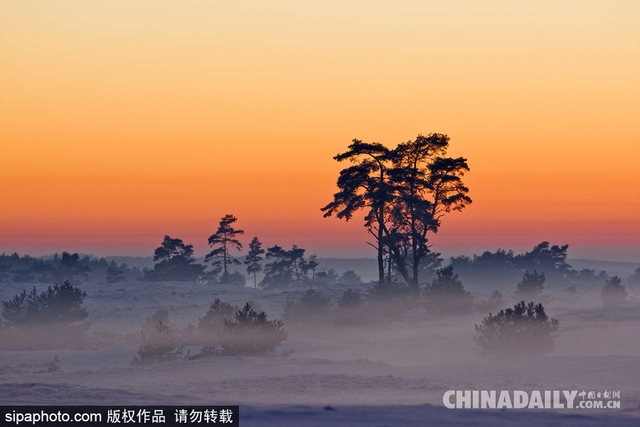 降溫雪韻至 盤點(diǎn)最平凡的冬日美景