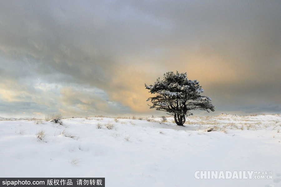 降溫雪韻至 盤點(diǎn)最平凡的冬日美景