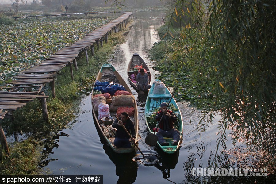 獨木舟上的生活 走近印度水上蔬菜市場