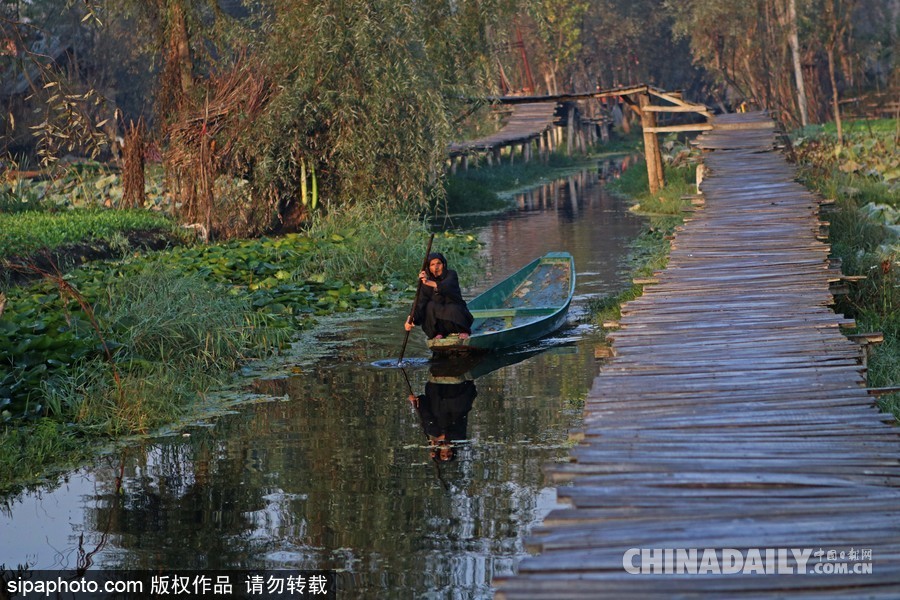 獨木舟上的生活 走近印度水上蔬菜市場