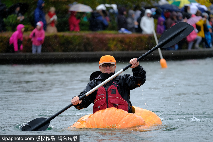 美國巨型南瓜賽舟會 選手劃小船趣味十足