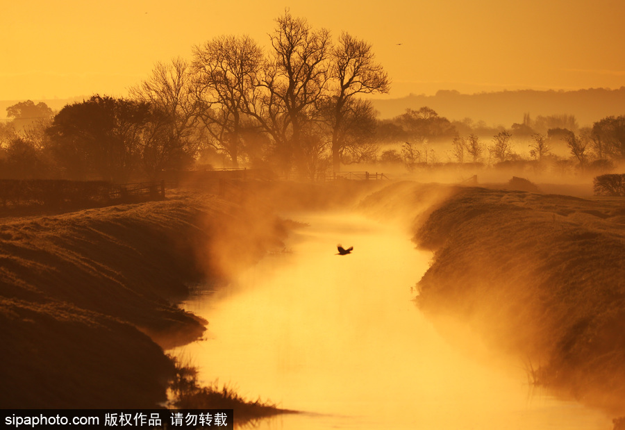 早晨一定要霧蒙蒙的才美 英國格拉斯頓堡晨霧風(fēng)光