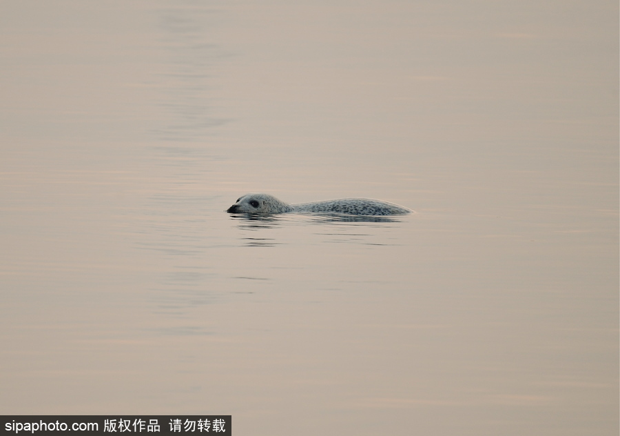 靜謐的海邊城市 俄羅斯海參崴初冬風光