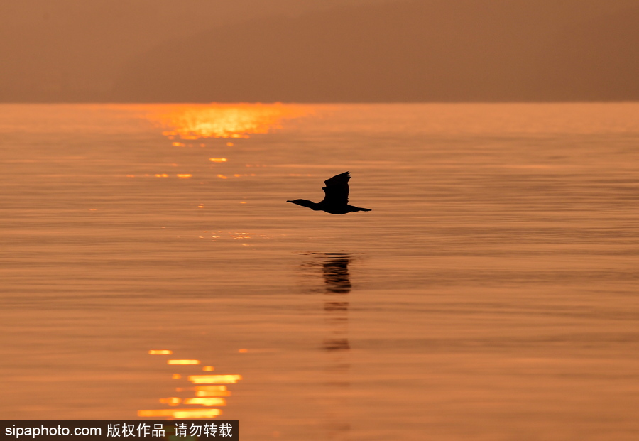 靜謐的海邊城市 俄羅斯海參崴初冬風(fēng)光