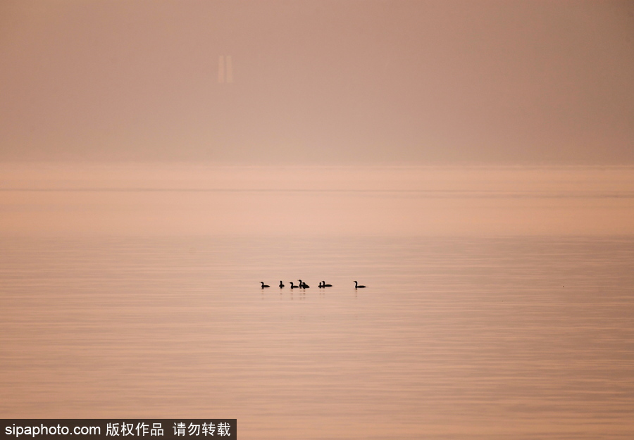 靜謐的海邊城市 俄羅斯海參崴初冬風(fēng)光