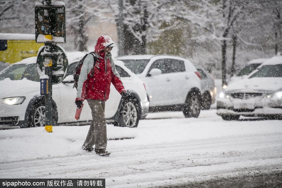 瑞典迎來今年第一場降雪 嚴重影響當?shù)亟煌?/></p>

<p align=