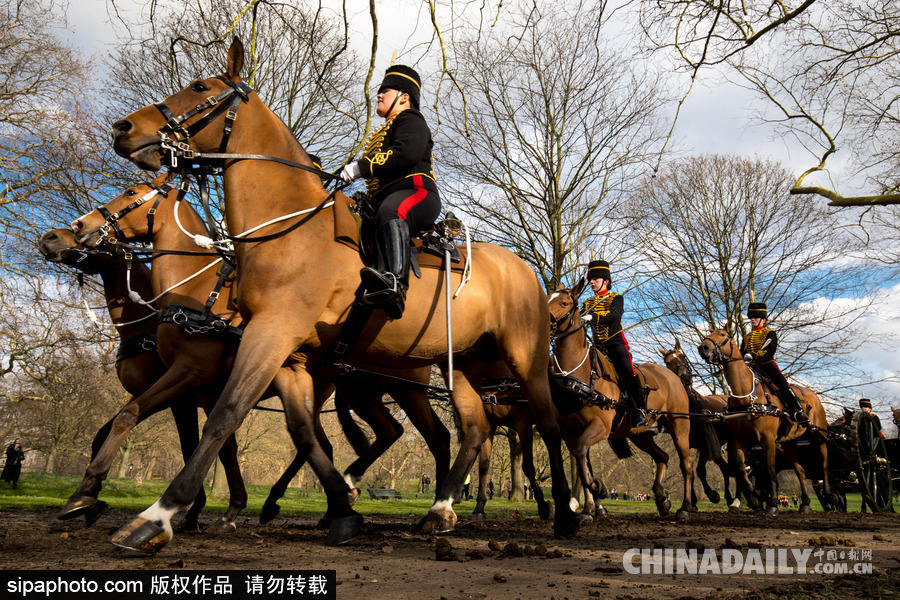 英女王登基66周年紀(jì)念 皇家騎兵炮兵團(tuán)發(fā)射41響禮炮慶祝