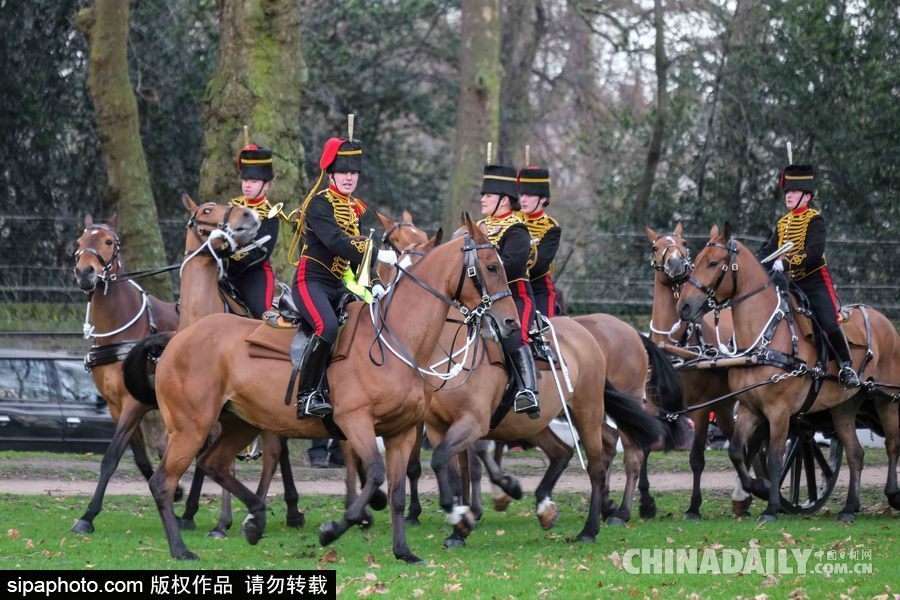 英女王登基66周年紀(jì)念 皇家騎兵炮兵團(tuán)發(fā)射41響禮炮慶祝