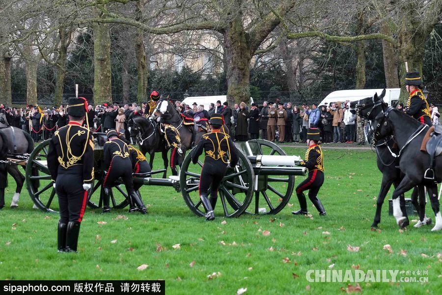 英女王登基66周年紀(jì)念 皇家騎兵炮兵團(tuán)發(fā)射41響禮炮慶祝