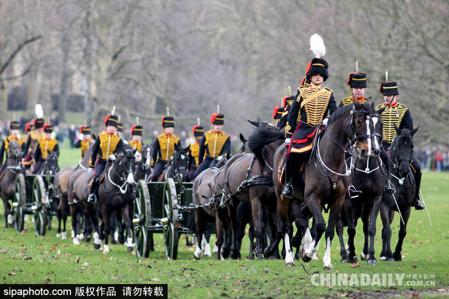 英女王登基66周年紀(jì)念 皇家騎兵炮兵團(tuán)發(fā)射41響禮炮慶祝