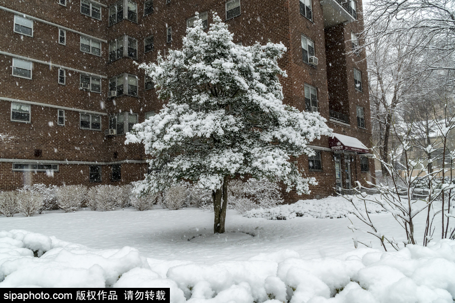 這波倒春寒來的迅猛！美國紐約遭遇暴雪天氣