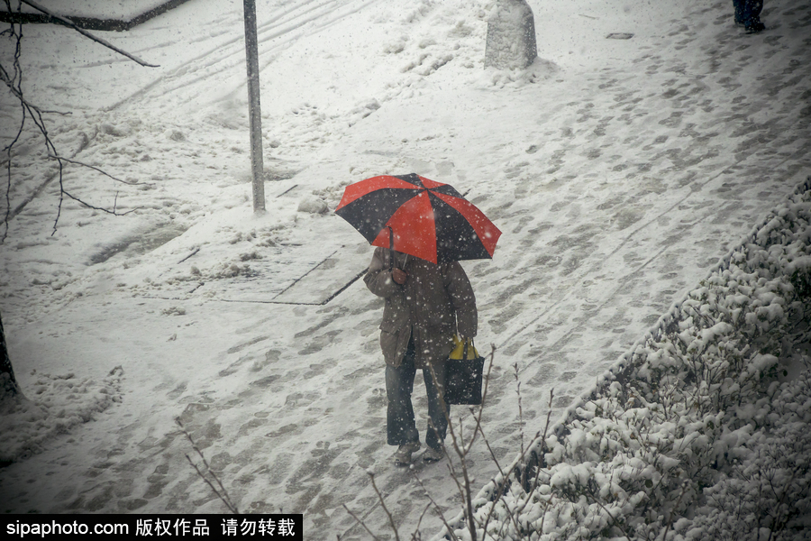 這波倒春寒來的迅猛！美國紐約遭遇暴雪天氣