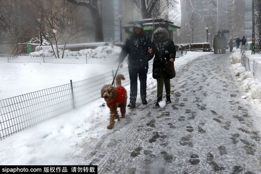 這波倒春寒來的迅猛！美國紐約遭遇暴雪天氣