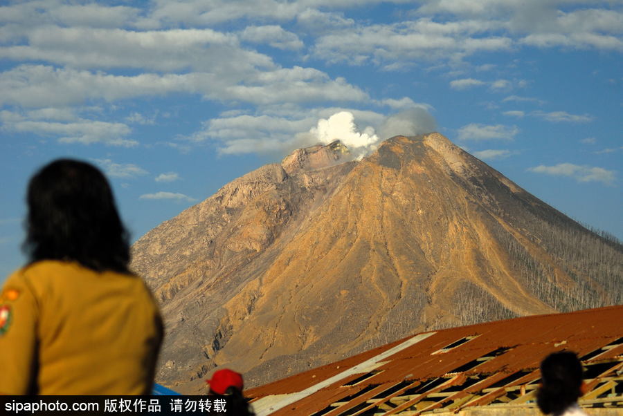 印尼錫納朋火山暫時趨于平緩 農(nóng)民菜田淡定勞作