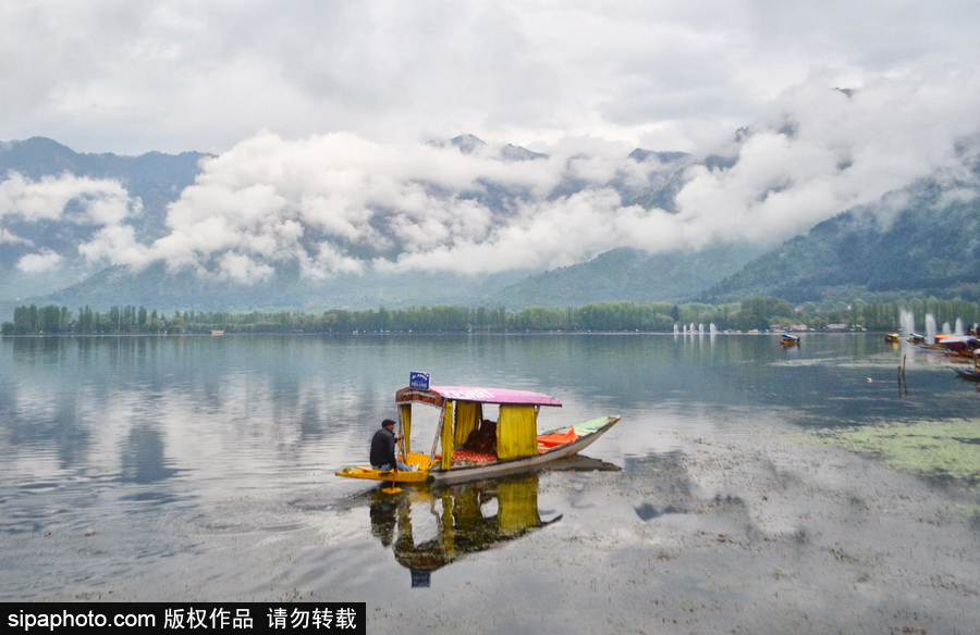 恍若置身江南煙雨中！印度漁民雨中泛舟詩意綿綿