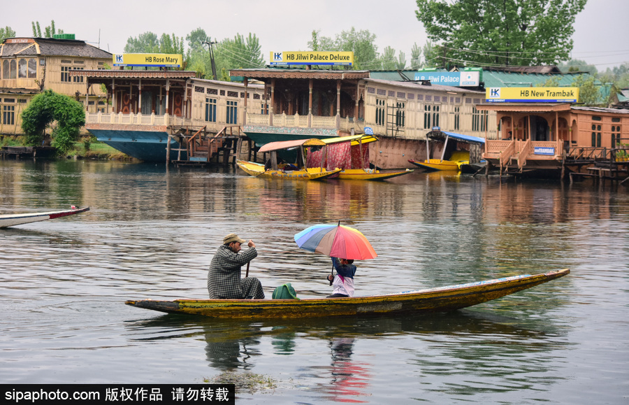 恍若置身江南煙雨中！印度漁民雨中泛舟詩(shī)意綿綿