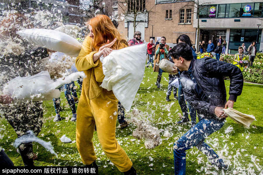 國際枕頭大戰(zhàn)日 荷蘭鹿特丹民眾街頭狂歡