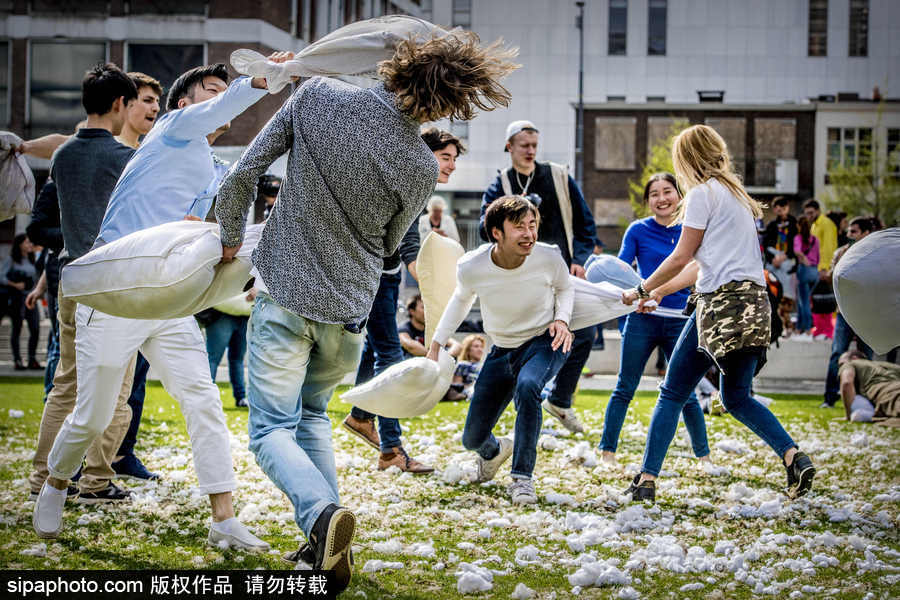 國(guó)際枕頭大戰(zhàn)日 荷蘭鹿特丹民眾街頭狂歡