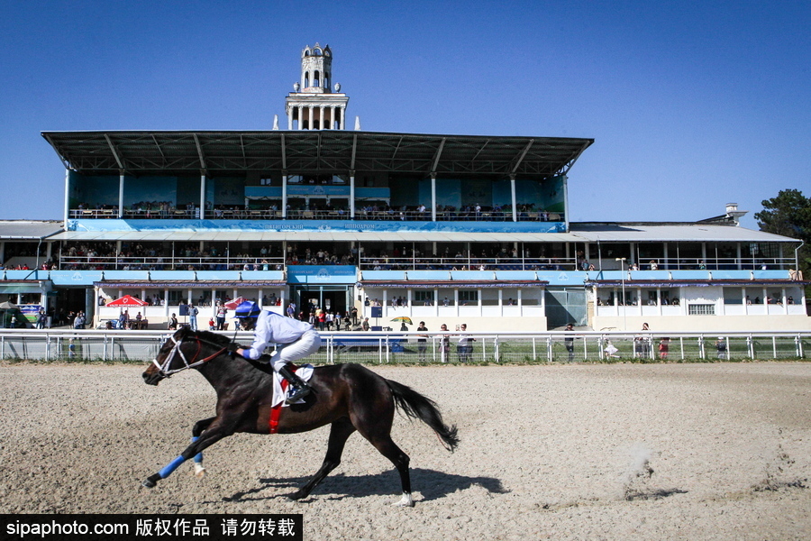 俄羅斯Pyatigorsk競技場 民眾縱馬馳騁享受休閑時(shí)光