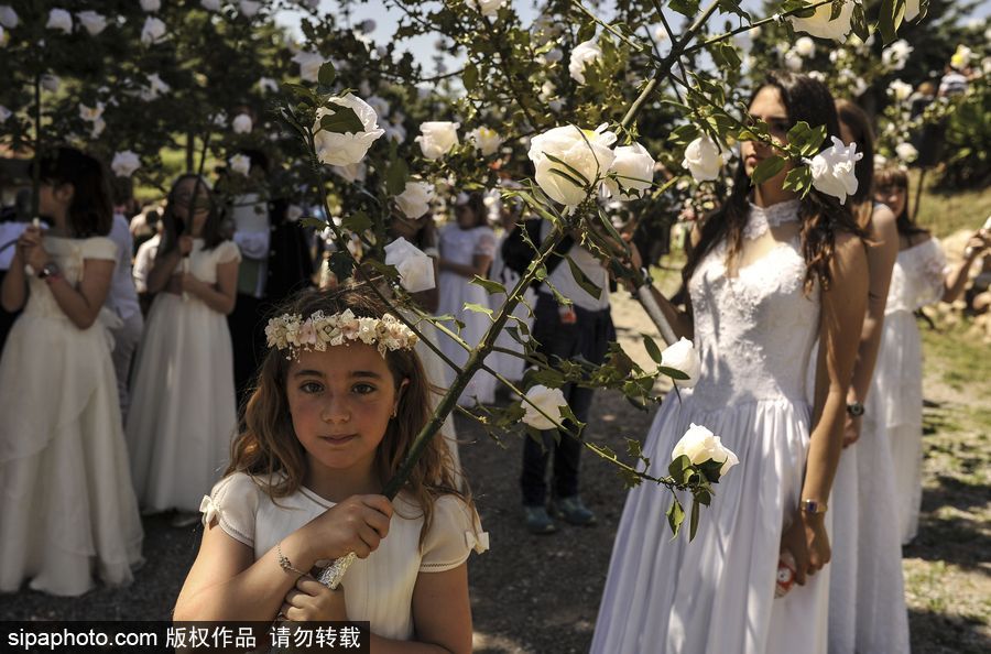 西班牙小鎮(zhèn)慶祝傳統(tǒng)節(jié)日 百名白衣“圣女”舉鮮花游行