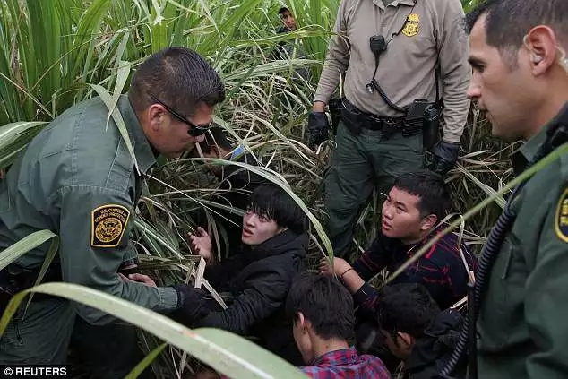 伊萬卡曬出這張照片被狂噴，要怪全怪她老爹特朗普？