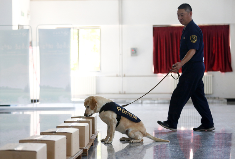 禁毒日前夕 探訪海關(guān)總署北京緝私犬基地