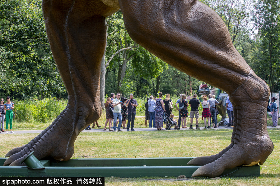 “侏羅紀(jì)王國”展覽首次亮相荷蘭 形象逼真似穿越回恐龍時代