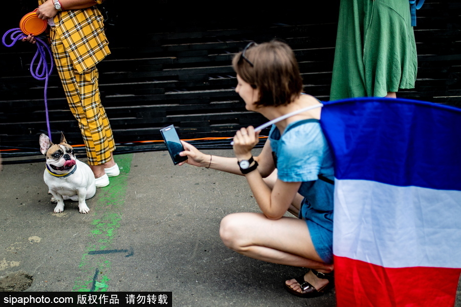 俄羅斯莫斯科“法國日”活動(dòng) 處處洋溢法蘭西元素