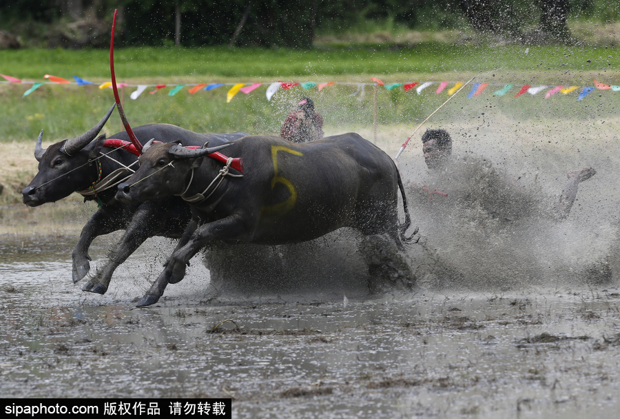 水?？癖技て鹚ǎ√﹪人１荣悎雒鎵延^有趣