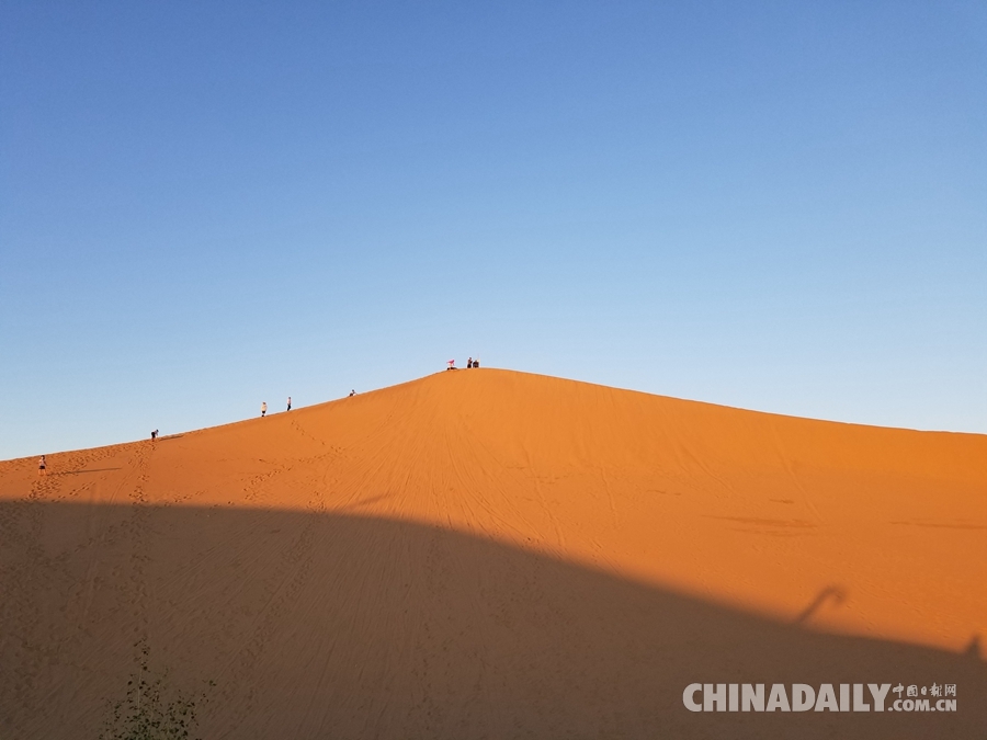 沙漠里的綠洲 打造沙漠生態(tài)旅游新亮點