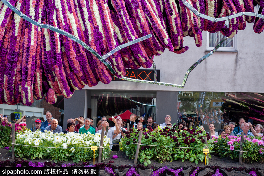 荷蘭：梵高出生地舉行花卉游行 鮮艷花朵拼制成各種巨型造型